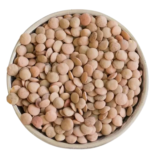 Lentils