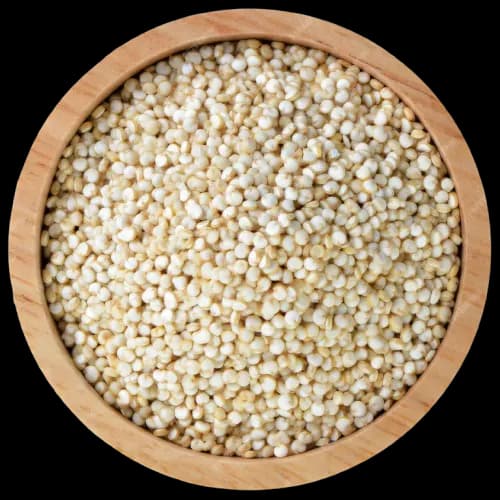 Sorghum